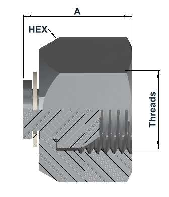 9850 10K BSPP Female 60° Cap dimensional drawing