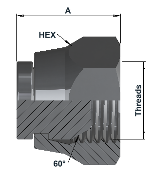 9850 6K BSPP Female 60° Cap dimensional drawing