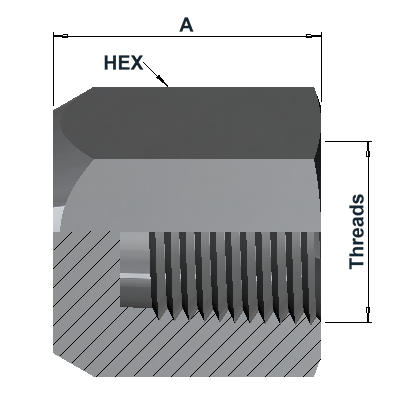 9950 6K NPT Female Cap dimensional drawing